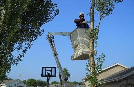 Local landscape installation experts serving Saint Peter, MN - Tool Time's Handyman