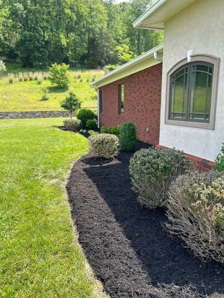 Expert landscape installation in Blue Ridge, VA - Tool Trendsetters