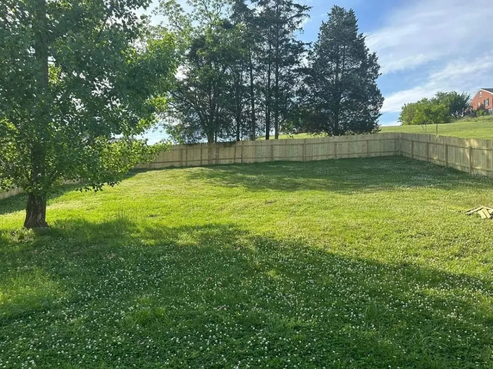 Affordable yard cleanup service in Blue Ridge, VA - Tool Trendsetters