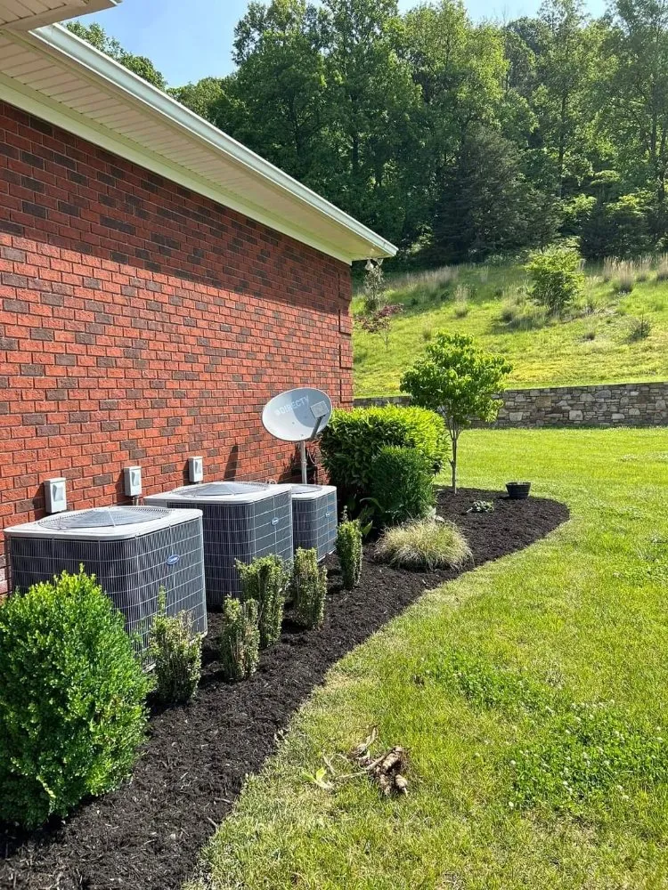 Professional lawn mowing service experts serving Blue Ridge, VA - Tool Trendsetters