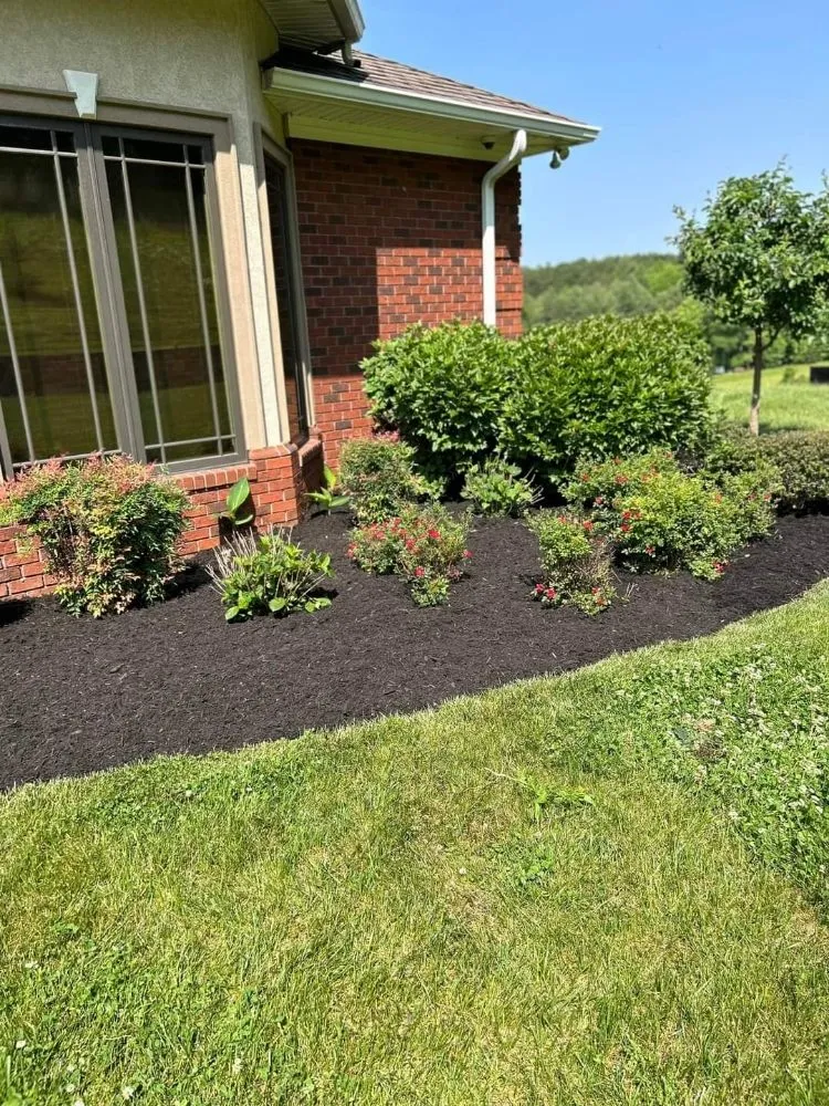 Local landscaping services in Blue Ridge, VA - Tool Trendsetters
