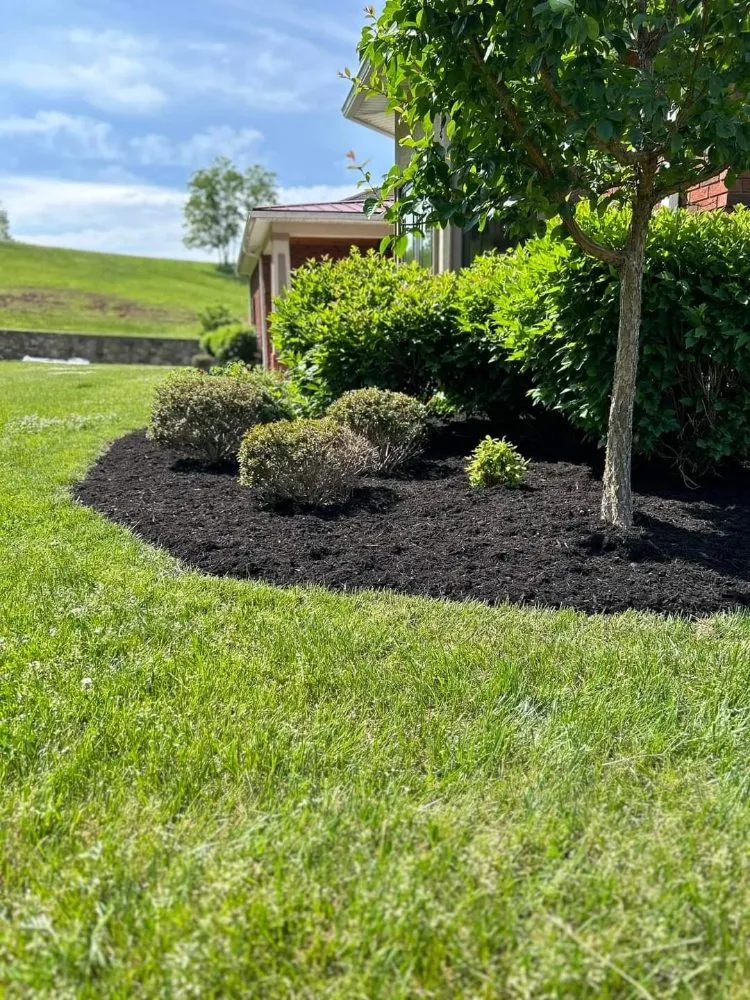 Trusted landscape installation in Blue Ridge, VA by Tool Trendsetters