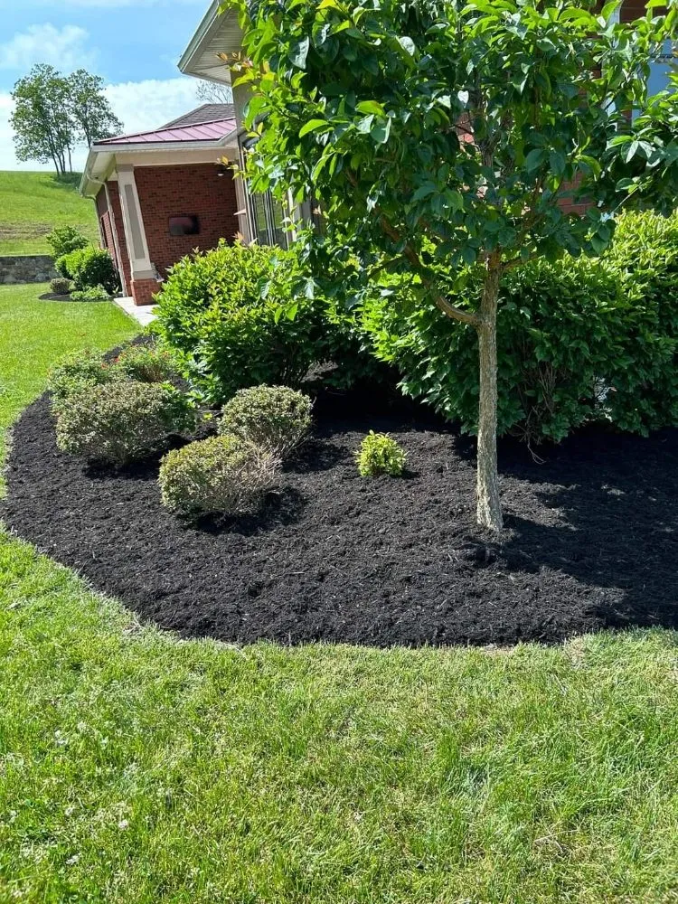 Affordable yard maintenance for outdoor upgrades in Blue Ridge, VA by Tool Trendsetters
