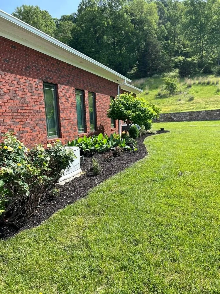 Top-rated landscaping services for beautiful yards in Blue Ridge, VA by Tool Trendsetters