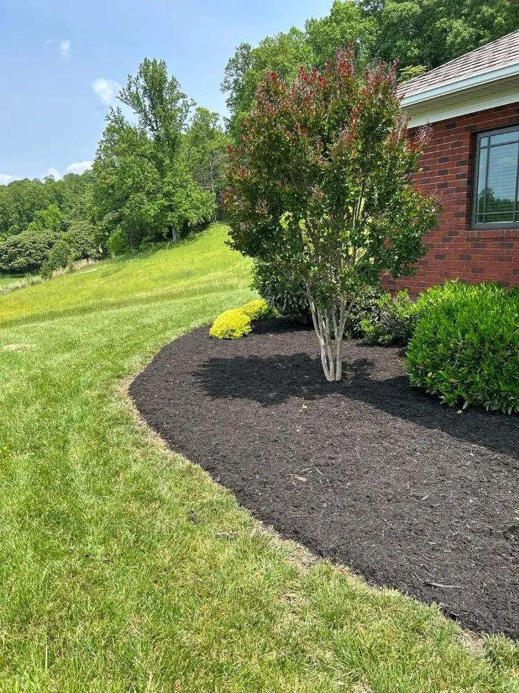 Trusted landscaping services experts serving Blue Ridge, VA - Tool Trendsetters