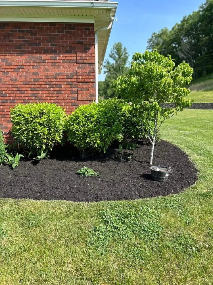 Local lawn care service experts serving Blue Ridge, VA - Tool Trendsetters