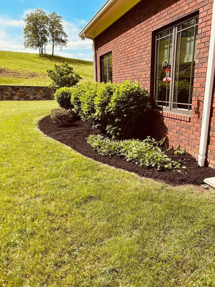 Local lawn care service in Blue Ridge, VA - Tool Trendsetters