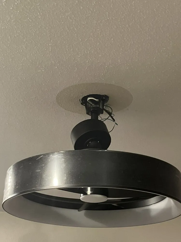 Professional yard maintenance near you in Sacramento, CA by Toolbelt Handy Services