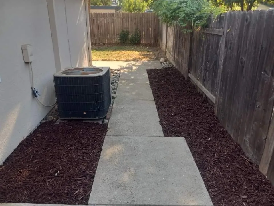 Professional yard maintenance in Sacramento, CA - Toolbelt Handy Services