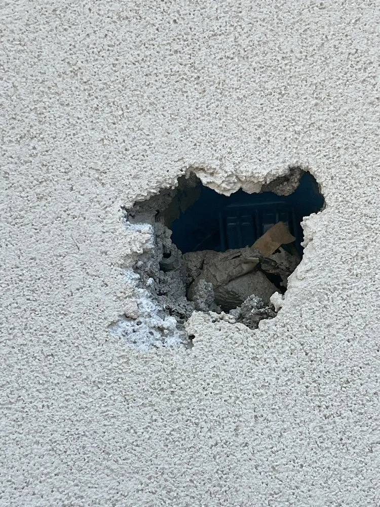 Reliable landscaping services near you across Sacramento, CA - Toolbelt Handy Services