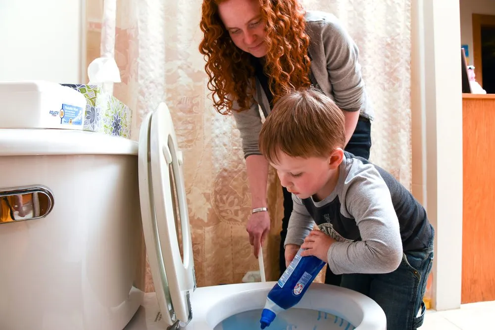 Affordable yard maintenance for beautiful yards in Jamestown, NY by Tooleys Cleaning Service