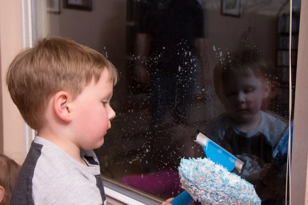 Affordable lawn care service experts serving Jamestown, NY - Tooleys Cleaning Service