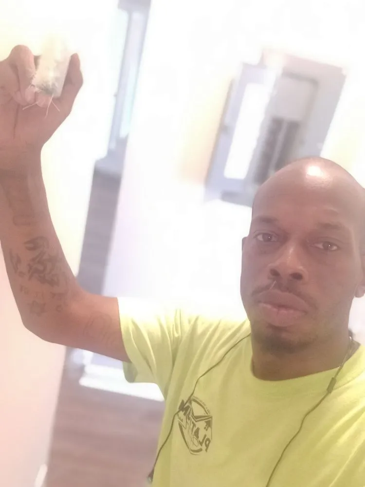 Trusted outdoor landscaping in Hopkinsville, KY by Tooli Tunes