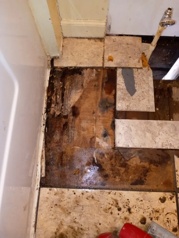 Affordable yard maintenance for year-round maintenance in Zanesville, OH by Toombs Residential Home Improvement