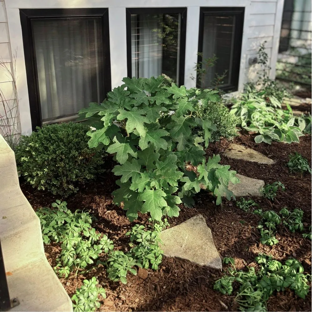 Professional lawn mowing service for beautiful yards across Chicago, IL - Toots and Roots