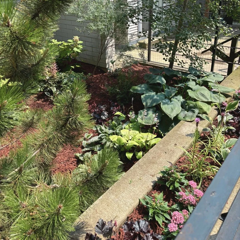 Reliable outdoor landscaping in Chicago, IL by Toots and Roots