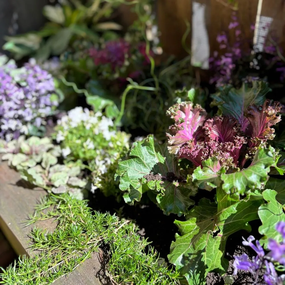 Top-rated landscape design in Chicago, IL by Toots and Roots