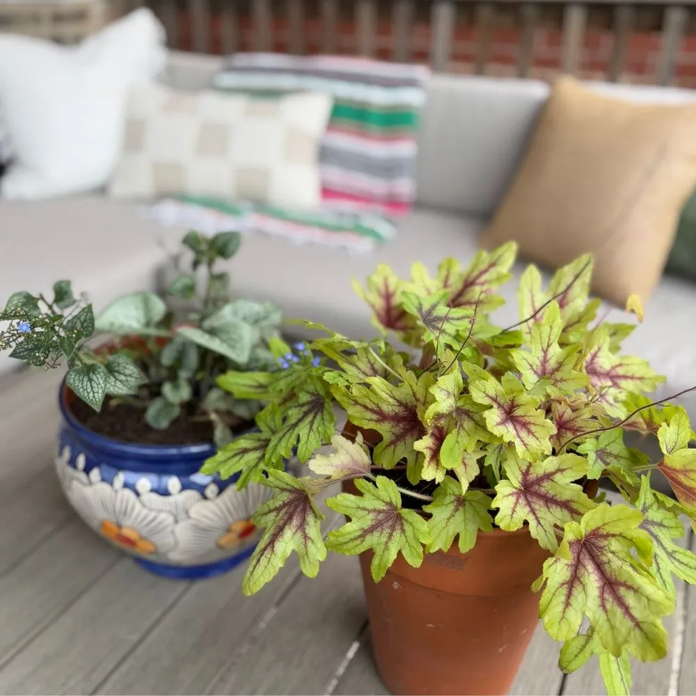 Custom landscape installation experts serving Chicago, IL - Toots and Roots