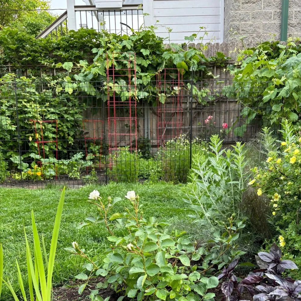 Affordable outdoor landscaping near you in Chicago, IL by Toots and Roots