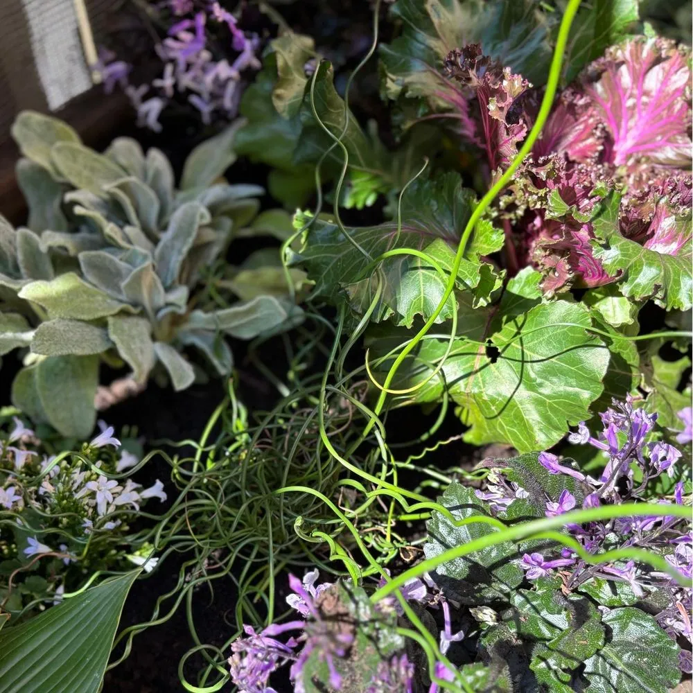 Professional residential landscaping experts serving Chicago, IL - Toots and Roots