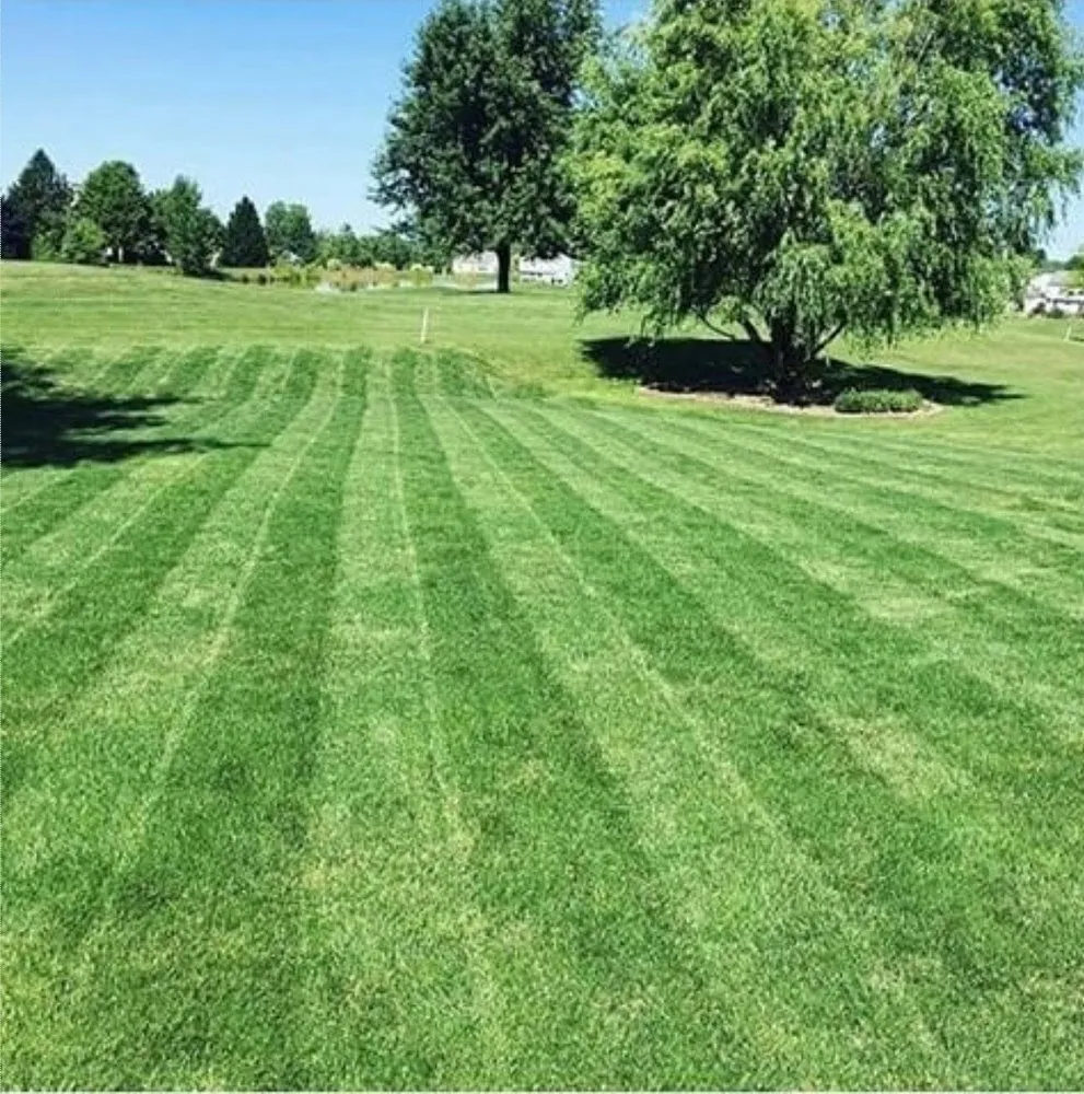 Professional yard cleanup service experts serving Essex, MD - Toot's Quality Landscaping & Lawn care