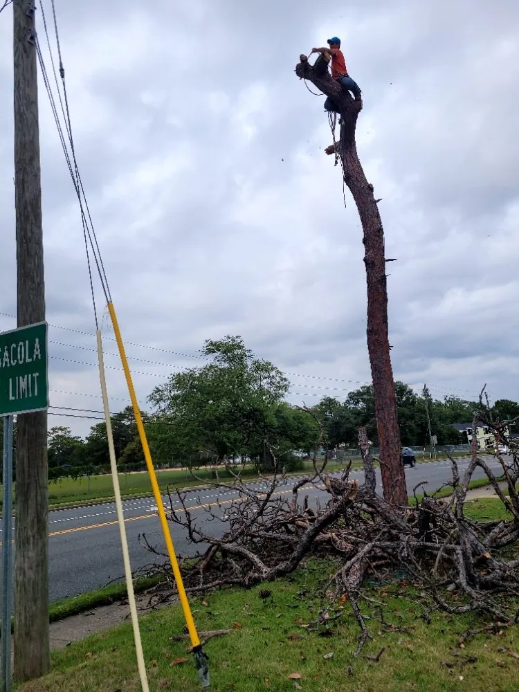 Local lawn care service experts serving Pensacola, FL - Top 2 Bottom Land Services