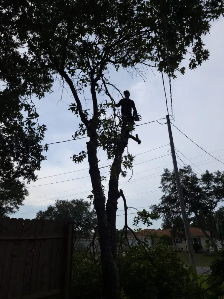 Professional landscape installation in Pensacola, FL - Top 2 Bottom Land Services