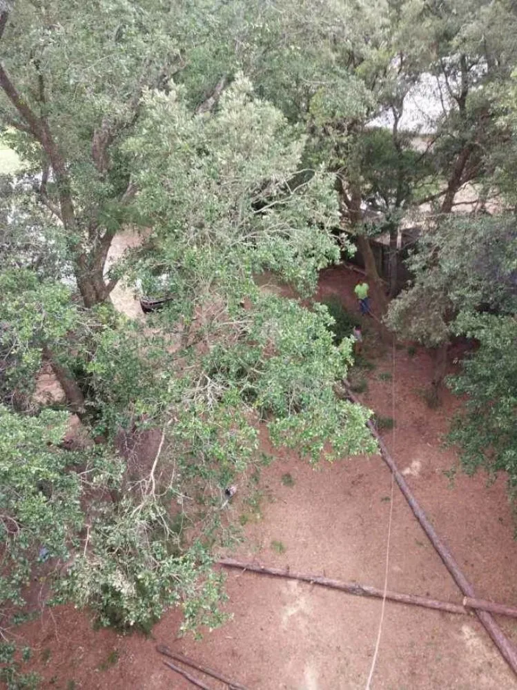 Affordable outdoor landscaping in Pensacola, FL by Top 2 Bottom Land Services