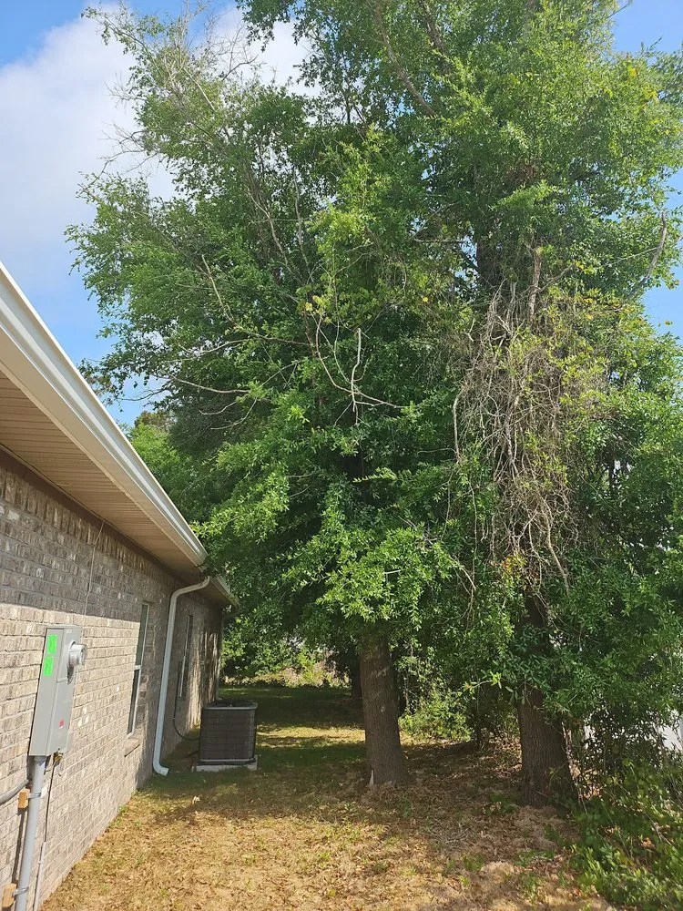 Professional landscape installation experts serving Pensacola, FL - Top 2 Bottom Land Services