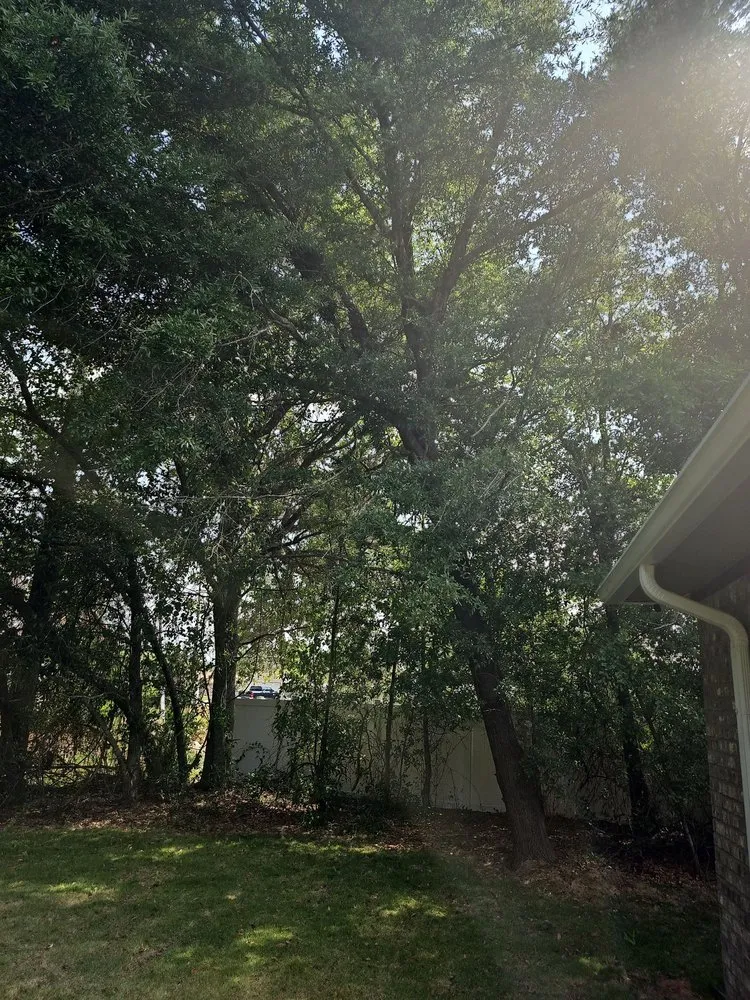 Professional lawn care service for beautiful yards in Pensacola, FL by Top 2 Bottom Land Services