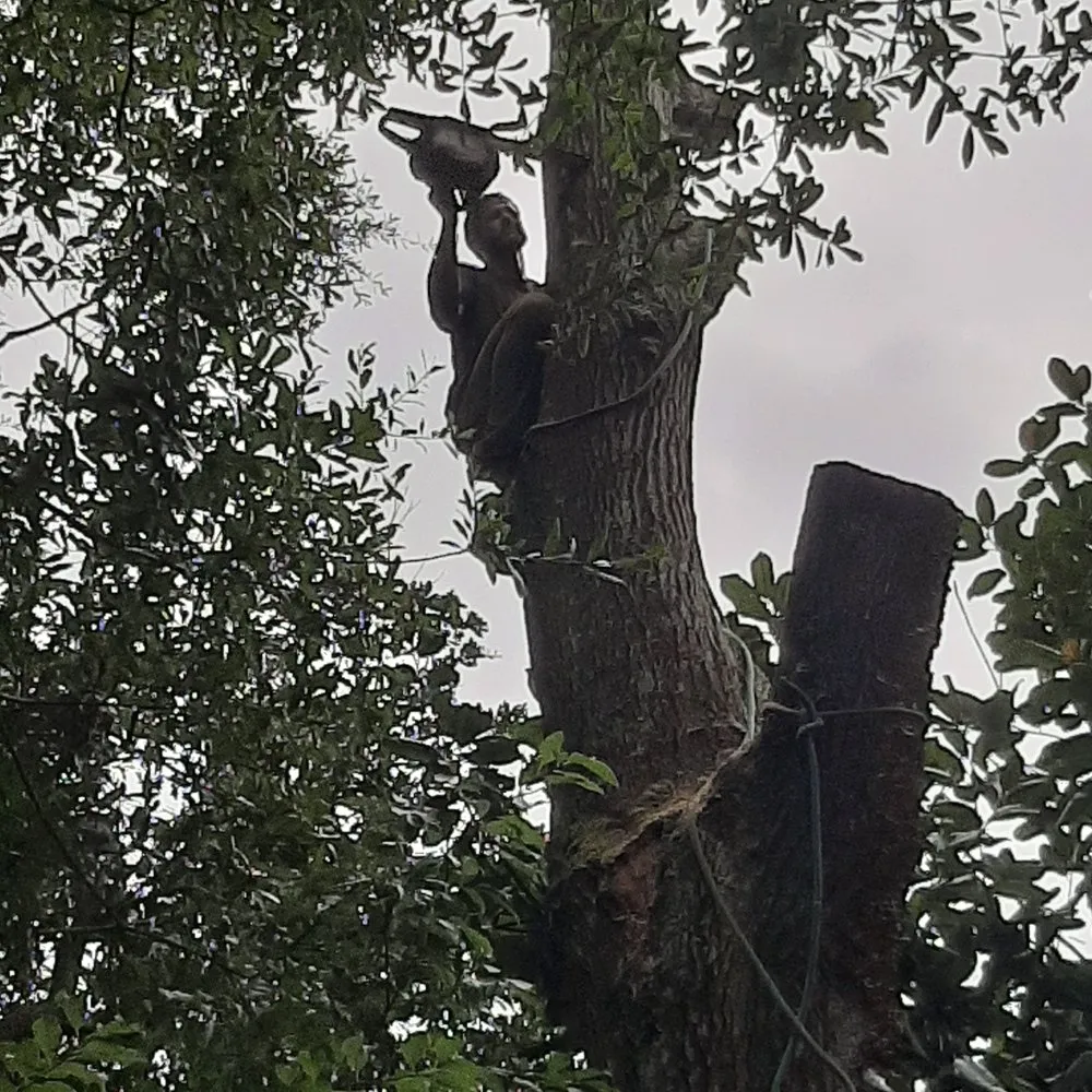 Top-rated yard maintenance for year-round maintenance across Pensacola, FL - Top 2 Bottom Land Services