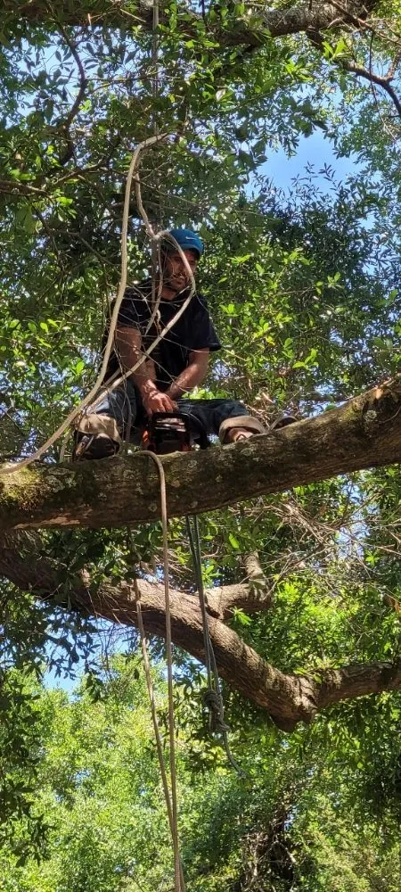 Trusted lawn mowing service for outdoor upgrades in Pensacola, FL by Top 2 Bottom Land Services