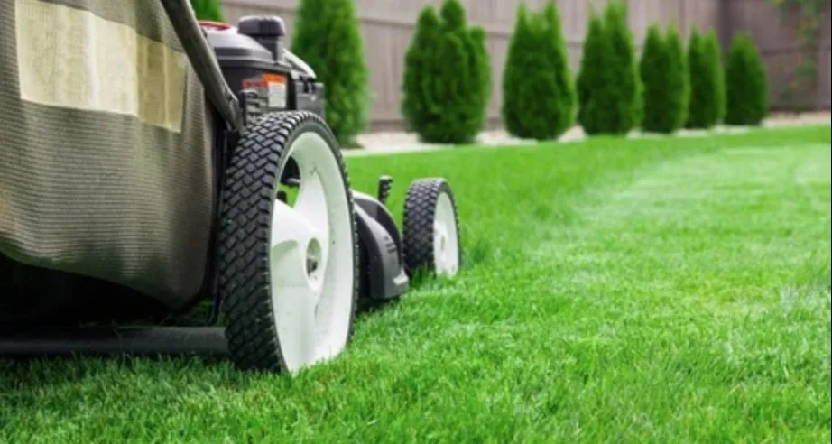 Expert outdoor landscaping for beautiful yards in Greeley, CO by Top Aroha