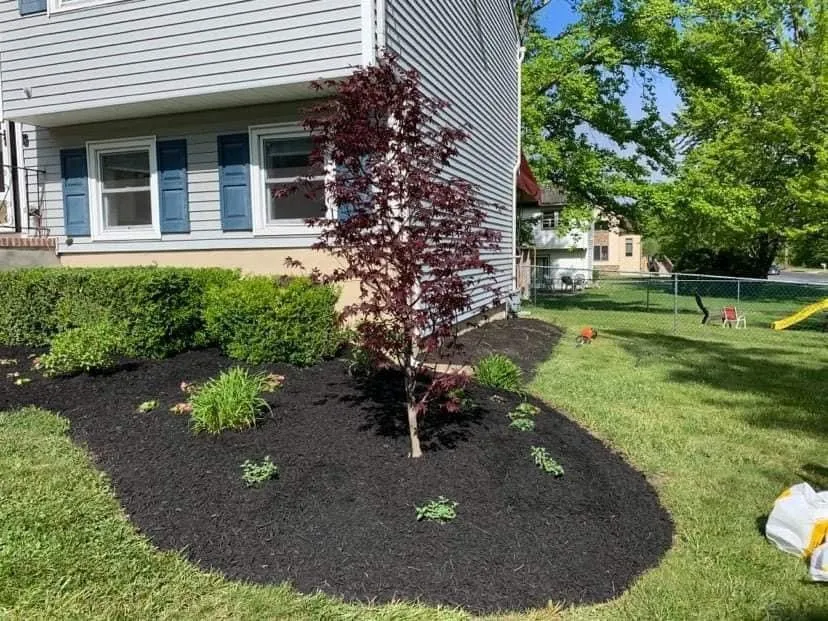 Trusted yard cleanup service for year-round maintenance in Brick, NJ by Top Brothers Landscaping