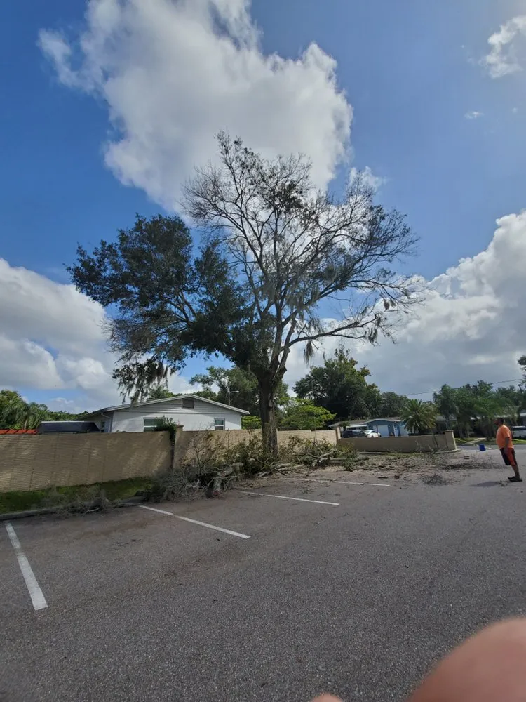 Professional lawn care service experts serving Orange City, FL - Top Care Ground Control