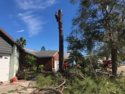 Reliable lawn care service for beautiful yards in Orange City, FL by Top Care Ground Control