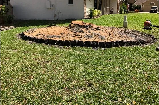 Affordable yard cleanup service with custom design across Orange City, FL - Top Care Ground Control