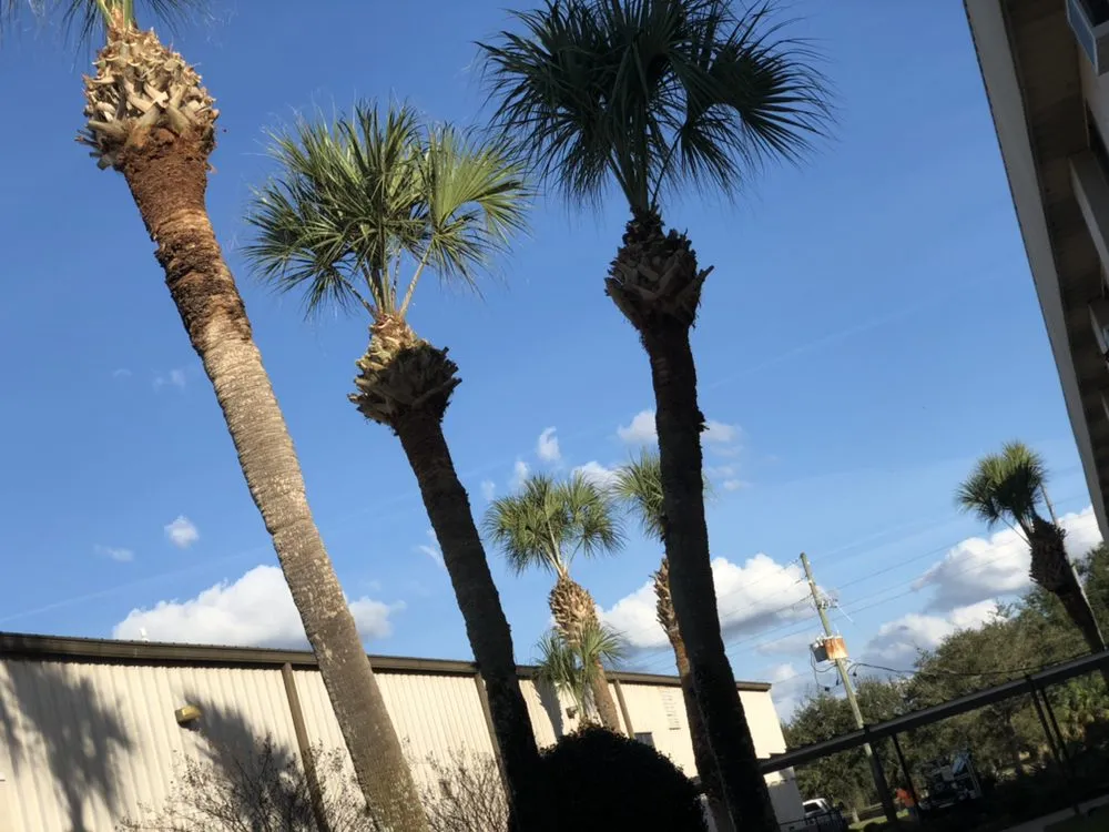 Affordable residential landscaping for residential properties across Orange City, FL - Top Care Ground Control