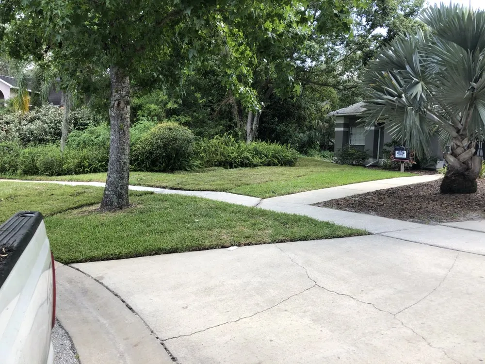 Top-rated yard maintenance in Orange City, FL by Top Care Ground Control