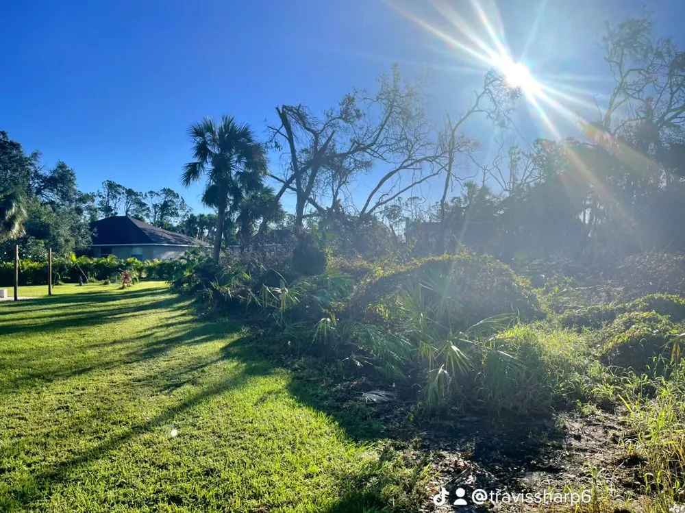 Affordable landscape installation experts serving Orange City, FL - Top Care Ground Control