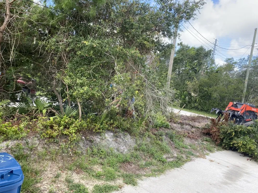 Trusted landscaping services in Orange City, FL - Top Care Ground Control