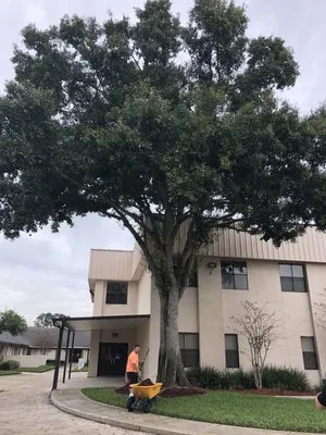 Top Care Ground Control