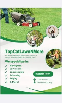 Top Cat Lawn N More Logo