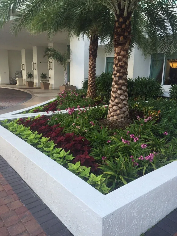 Affordable lawn care service in Hollywood, FL by Top Choice