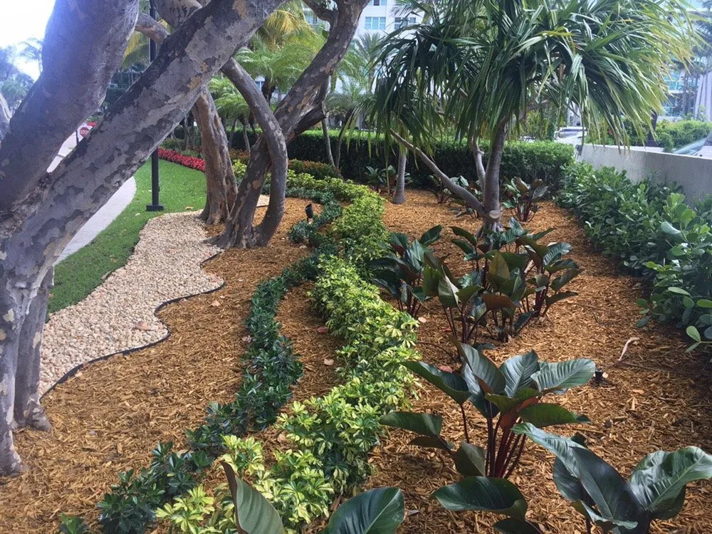 Affordable lawn mowing service experts serving Hollywood, FL - Top Choice