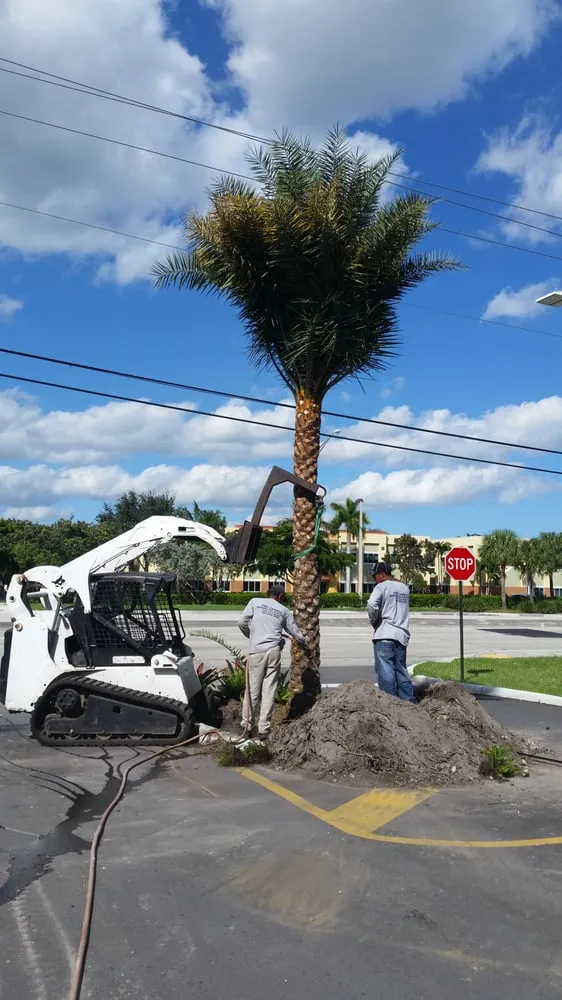 Reliable lawn care service experts serving Hollywood, FL - Top Choice