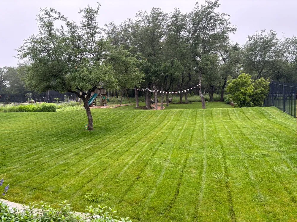 Top-rated landscape installation in Austin, TX by Top Choice Lawn Care