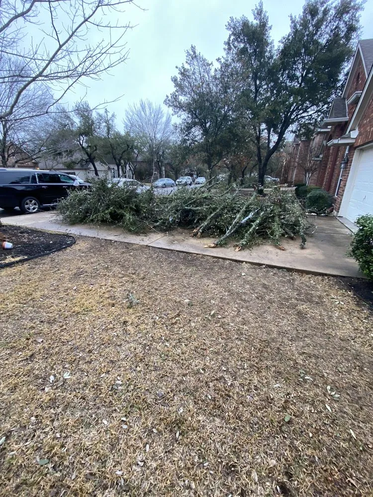 Expert garden landscaping experts serving Austin, TX - Top Choice Lawn Care