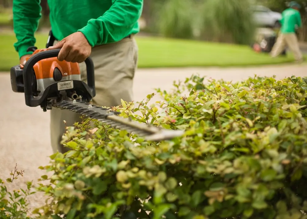 Affordable landscape installation in Austin, TX by Top Choice Lawn Care