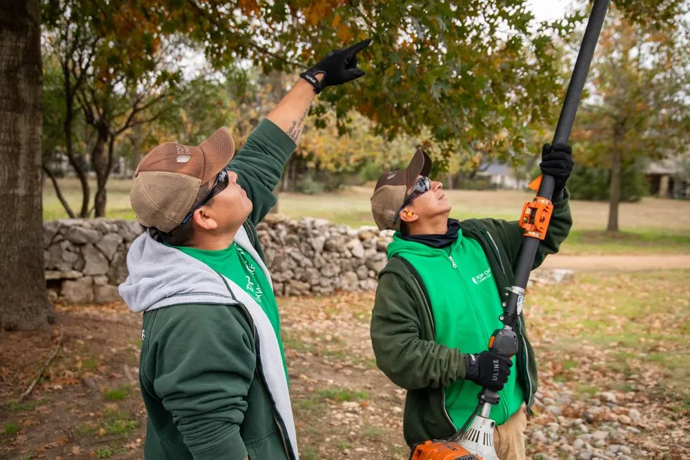 Local landscape installation experts serving Austin, TX - Top Choice Lawn Care